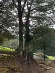 朝倉神社(福井県)