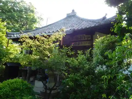 元慶寺の庭園