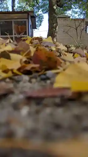 白山神社の自然