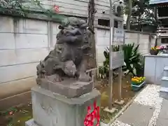 高円寺氷川神社の狛犬