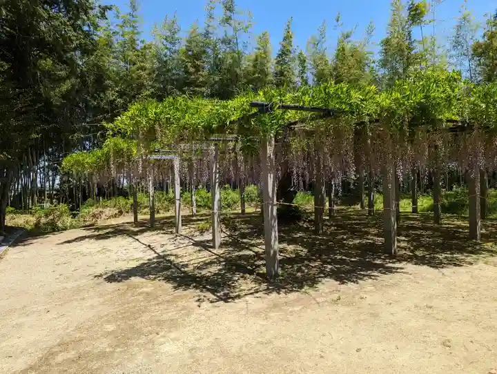 志那神社(滋賀県)
