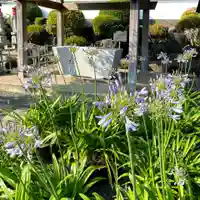 真言宗神道派大本山 宝珠院の手水舎