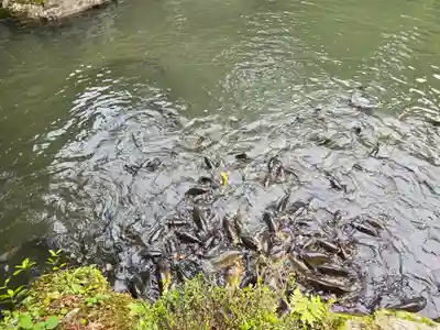 喜見院(滋賀県)
