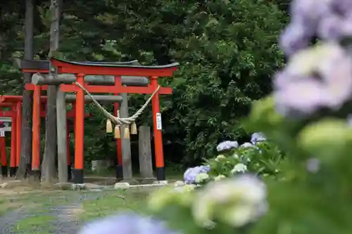 高屋敷稲荷神社の鳥居