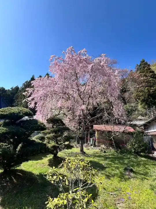 仏隆寺の{uncategorized: "未分類", other: "その他", undefined: "問題あり", building: "その他建物", grave: "お墓", sacred_gate: "鳥居", guardian: "狛犬", statue: "像", buddha: "仏像", history: "歴史", nature: "自然", garden: "庭園", animal: "動物", pagoda: "塔", temizu: "手水舎", mountain_gate: "山門・神門", sanctuary: "本殿・本堂", subordinate: "末社・摂社", art: "芸術", scenery: "景色", jizo: "地蔵", ema: "絵馬", goshuin: "御朱印", omikuji: "おみくじ", items: "授与品その他", amulet: "お守り", goshuincho: "御朱印帳", eats: "食事", festival: "お祭り", votive_dance: "神楽", shichigosan: "七五三参", wedding: "結婚式", experience: "体験その他", initially: "初詣", around: "周辺", anti_infection: "感染症対策"}
