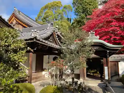 榮攝院（栄摂院）(京都府)