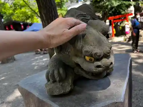 田無神社の狛犬