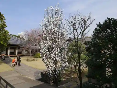 天王寺の景色