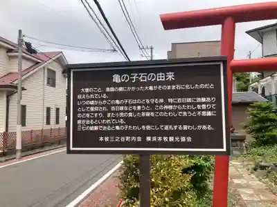 亀の子石神社（亀の子様）(神奈川県)