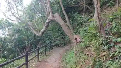 龍宮神社（稲取）の周辺