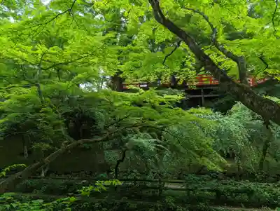 北野天満宮(京都府)
