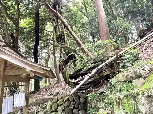 賀川神社の建物その他