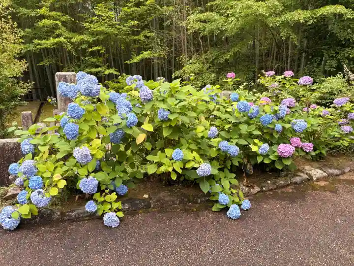 長谷寺(奈良県)