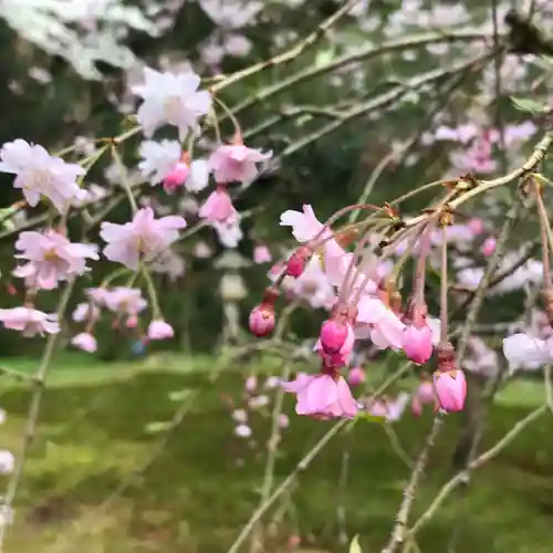 瑞源寺の庭園