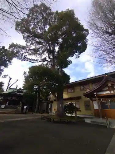 中目黒八幡神社(東京都)