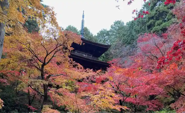 金剛輪寺(滋賀県)