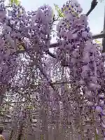 龍城神社(愛知県)