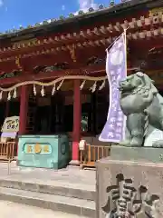 浅草神社の狛犬