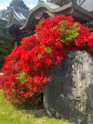 養命寺(愛知県)