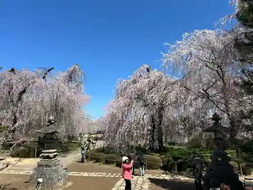 安養寺の{uncategorized: "未分類", other: "その他", undefined: "問題あり", building: "その他建物", grave: "お墓", sacred_gate: "鳥居", guardian: "狛犬", statue: "像", buddha: "仏像", history: "歴史", nature: "自然", garden: "庭園", animal: "動物", pagoda: "塔", temizu: "手水舎", mountain_gate: "山門・神門", sanctuary: "本殿・本堂", subordinate: "末社・摂社", art: "芸術", scenery: "景色", jizo: "地蔵", ema: "絵馬", goshuin: "御朱印", omikuji: "おみくじ", items: "授与品その他", amulet: "お守り", goshuincho: "御朱印帳", eats: "食事", festival: "お祭り", votive_dance: "神楽", shichigosan: "七五三参", wedding: "結婚式", experience: "体験その他", initially: "初詣", around: "周辺", anti_infection: "感染症対策"}
