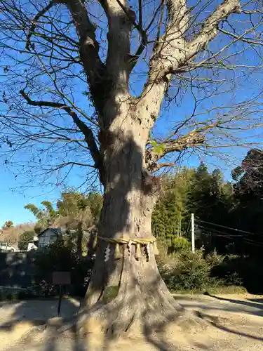 素鵞神社(茨城県)