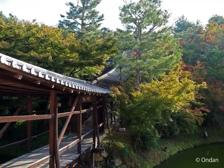 高台寺(高台寿聖禅寺・高臺寺)(京都府)