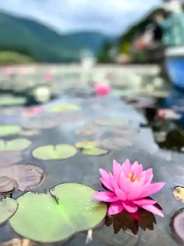 仁科神社(長野県)