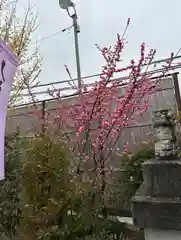 鹿島神社(栃木県)