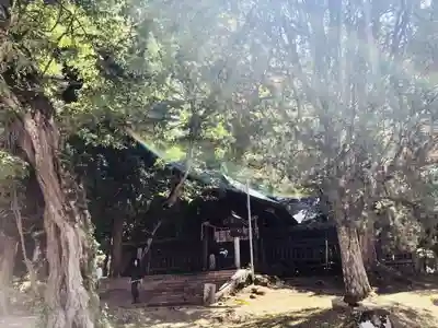 諏訪大社上社前宮の本殿・本堂