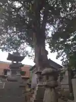 利椋八幡神社(福井県)