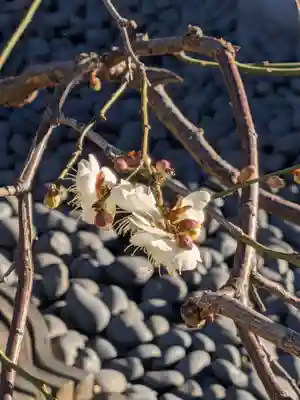 圓照寺(東京都)