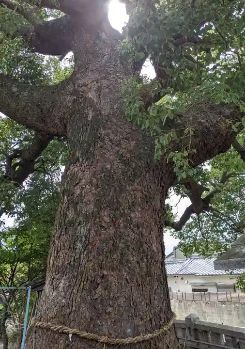 菅原神社(大阪府)