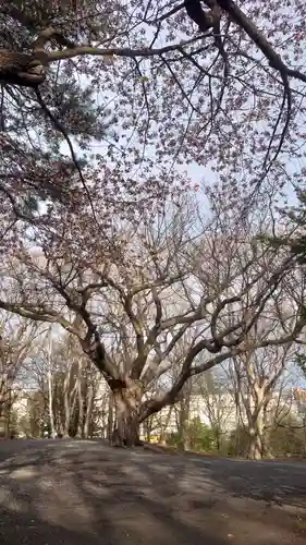 相馬神社(北海道)
