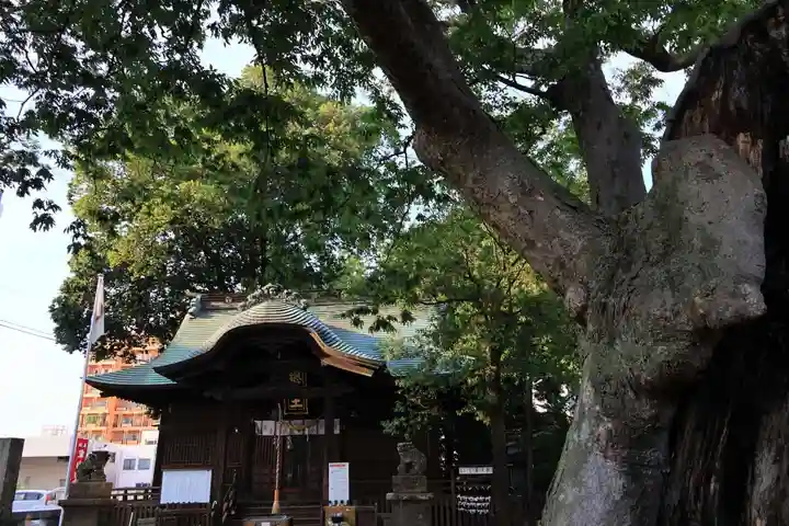 阿邪訶根神社の本殿・本堂