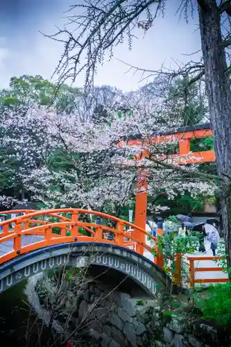 賀茂御祖神社（下鴨神社）(京都府)