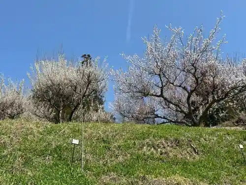 国宝 大法寺(長野県)