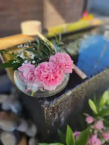 上尾御嶽神社の手水