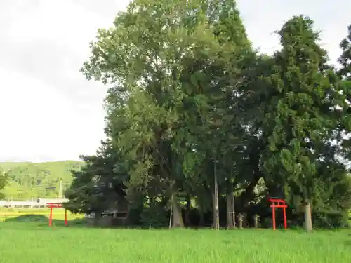 諏訪神社(新潟県)