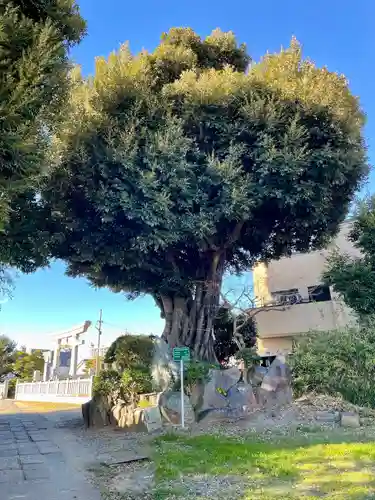 赤城神社(千葉県)