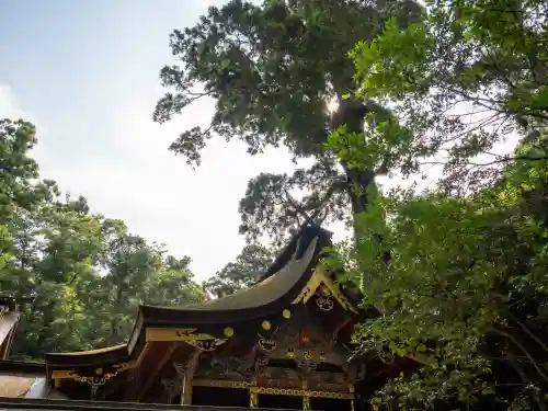 鹿島神宮(茨城県)
