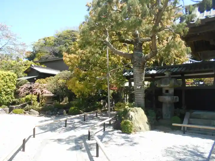 本蓮寺のその他建物