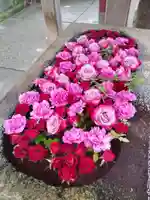 白山神社の手水舎