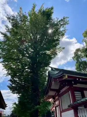 柴又八幡神社(東京都)