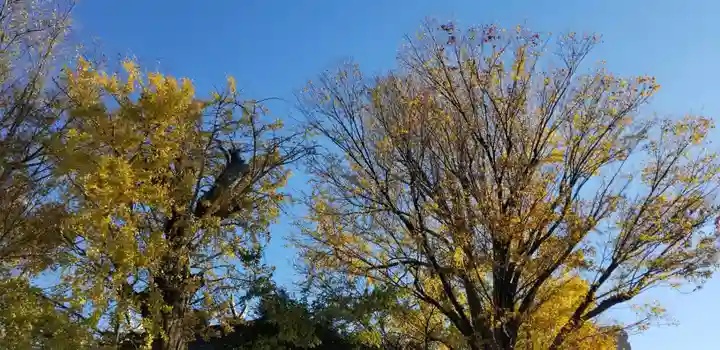 日枝神社の自然