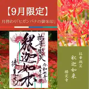 勝覚寺の御朱印 2025年09月01日(月)〜(2025年08月25日(月) 08時31分02秒投稿)
