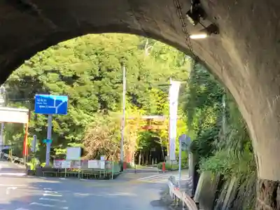 來宮神社(静岡県)