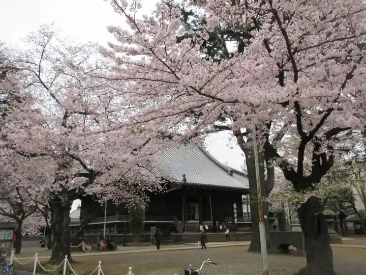 寛永寺(根本中堂)のその他建物