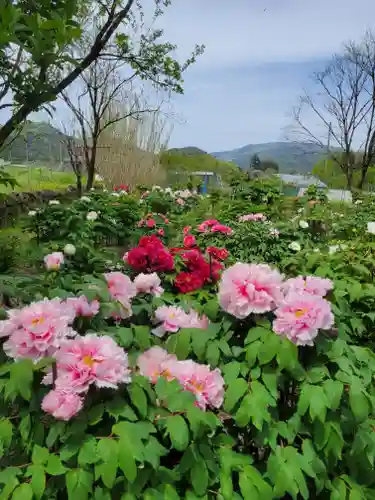 隆国寺(兵庫県)