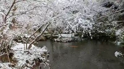 圓光寺(京都府)