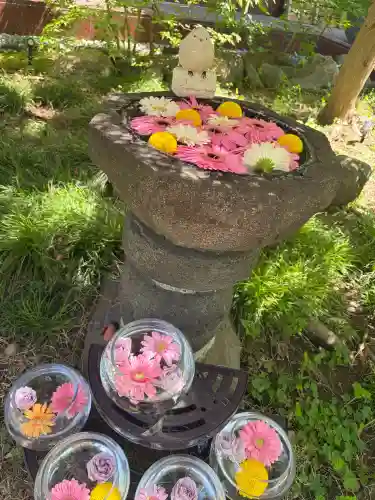 法輪寺の{uncategorized: "未分類", other: "その他", undefined: "問題あり", building: "その他建物", grave: "お墓", sacred_gate: "鳥居", guardian: "狛犬", statue: "像", buddha: "仏像", history: "歴史", nature: "自然", garden: "庭園", animal: "動物", pagoda: "塔", temizu: "手水舎", mountain_gate: "山門・神門", sanctuary: "本殿・本堂", subordinate: "末社・摂社", art: "芸術", scenery: "景色", jizo: "地蔵", ema: "絵馬", goshuin: "御朱印", omikuji: "おみくじ", items: "授与品その他", amulet: "お守り", goshuincho: "御朱印帳", eats: "食事", festival: "お祭り", votive_dance: "神楽", shichigosan: "七五三参", wedding: "結婚式", experience: "体験その他", initially: "初詣", around: "周辺", anti_infection: "感染症対策"}